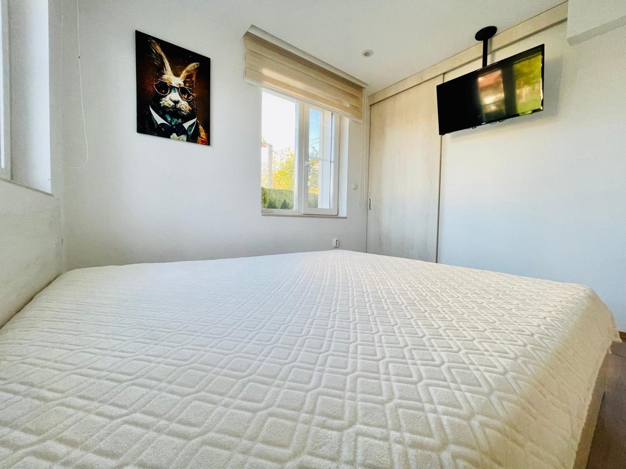 Forest Oasis Guest House Free Parking Saparewa Banja Exterior foto